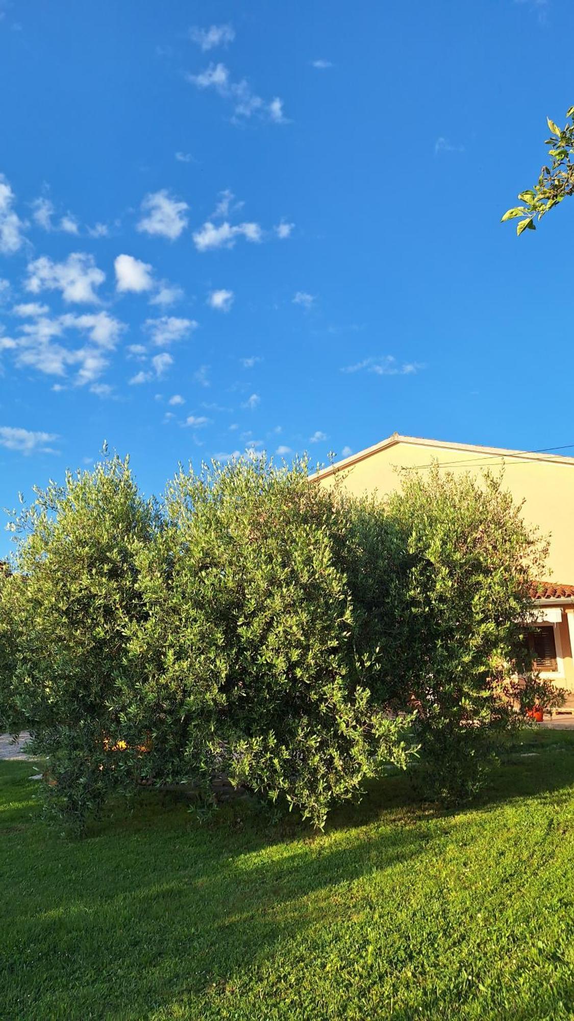 Apartman Doli Nedescina Exterior photo